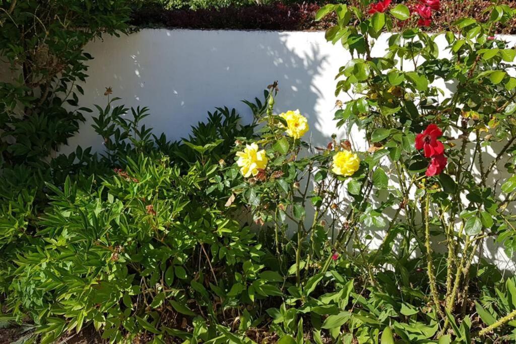 Le Clos de Chacha Villa Carly Exterior foto